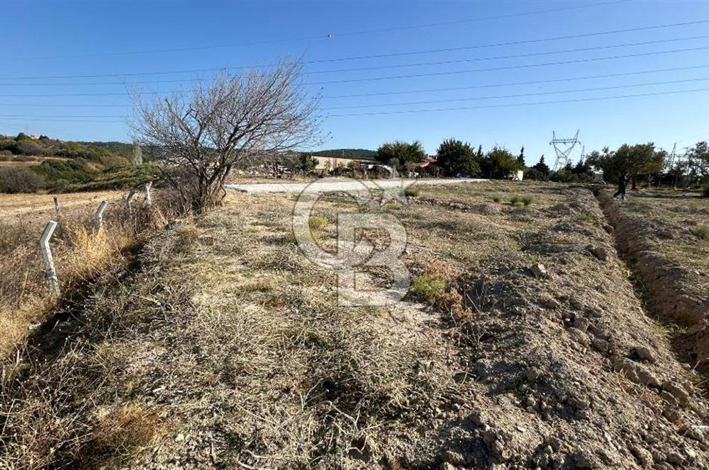 Opportunity cooperative land with amazing sea view.