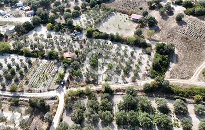 İzmir Çeşme Alaçatı'da Satılık Tarla