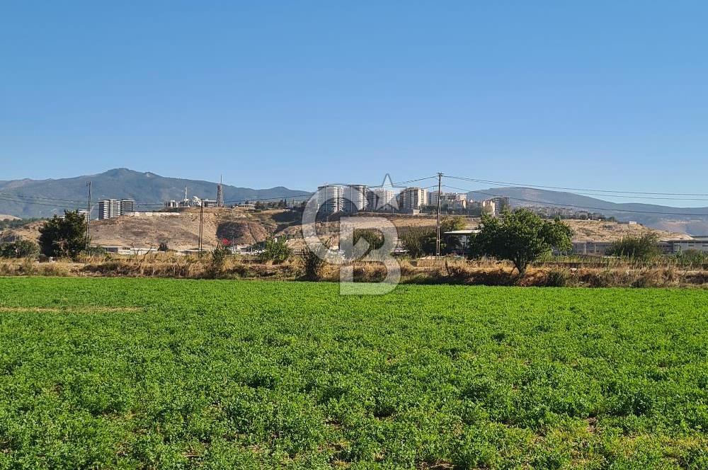 Menemen Ahıhıdır Yola Cepheli Satılık Köşe Tarla