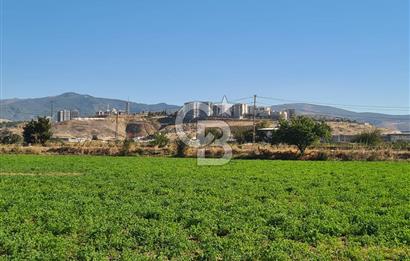 Menemen Ahıhıdır Yola Cepheli Satılık Köşe Tarla