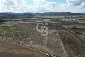 BURSA KARACABEY ÇAVUŞ ta SATILIK 33800 M2 TARLA