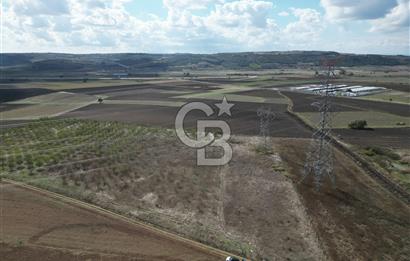 BURSA KARACABEY ÇAVUŞ ta SATILIK 33800 M2 TARLA