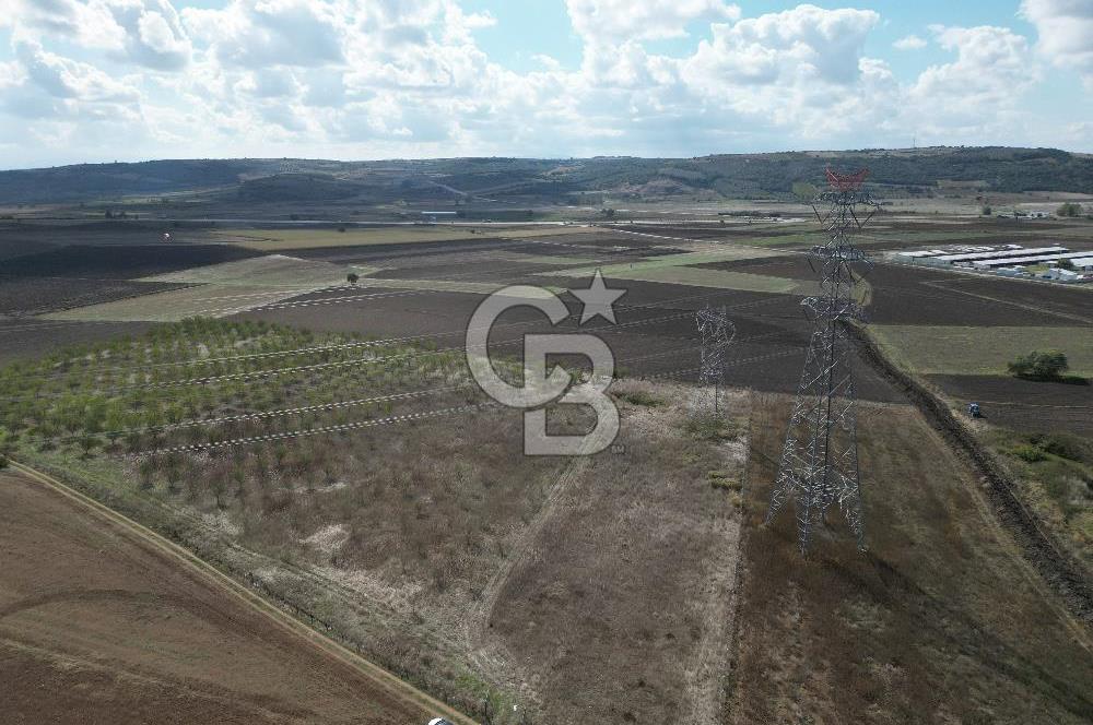 BURSA KARACABEY ÇAVUŞ ta SATILIK 33800 M2 TARLA