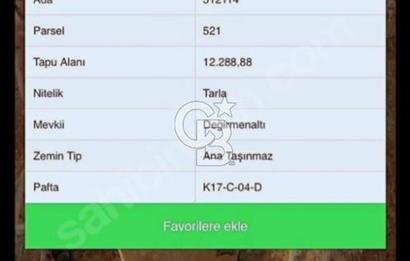 FOÇA KOZBEYLİ'DE 1024 M2 SATILIK TARLA