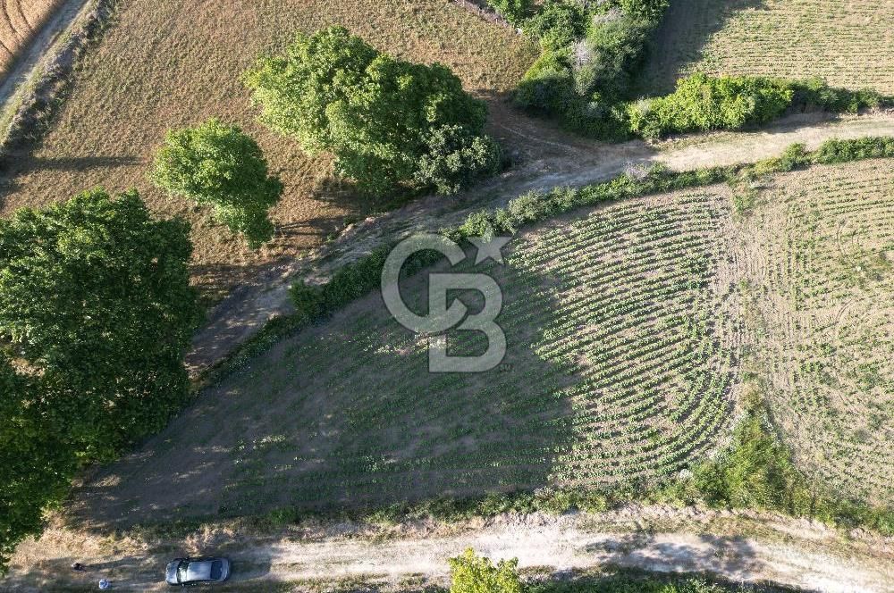 Gelibolu Cumalı Köyünde Deniz Manzaralı İmar sınırında Satılık Tarla