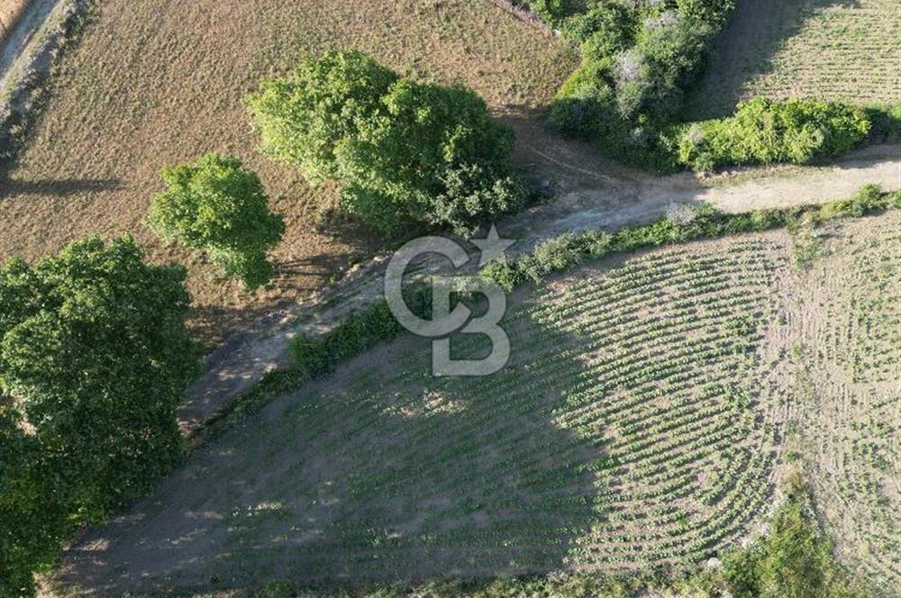 Gelibolu Cumalı Köyünde Deniz Manzaralı İmar sınırında Satılık Tarla