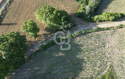 Gelibolu Cumalı Köyünde Deniz Manzaralı İmar sınırında Satılık Tarla