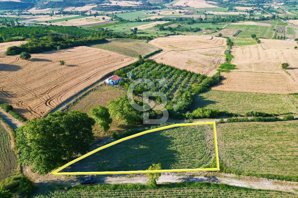 Gelibolu Cumalı Köyünde Deniz Manzaralı İmar sınırında Satılık Tarla