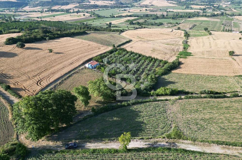 Gelibolu Cumalı Köyünde Deniz Manzaralı İmar sınırında Satılık Tarla