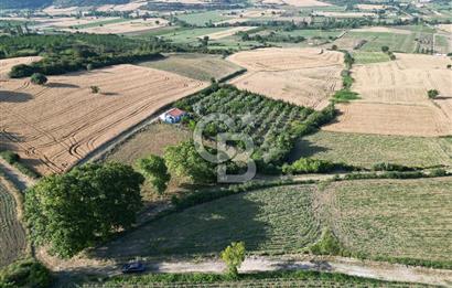 Gelibolu Cumalı Köyünde Deniz Manzaralı İmar sınırında Satılık Tarla