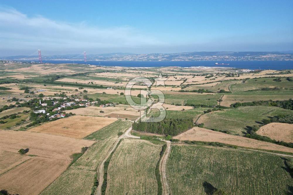 Gelibolu Cumalı Köyünde Deniz Manzaralı İmar sınırında Satılık Tarla