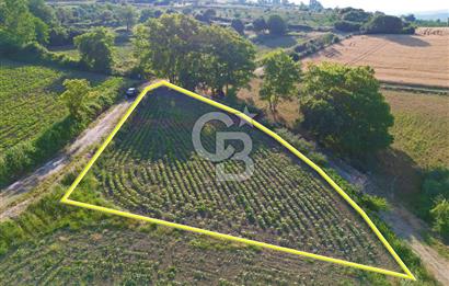 Gelibolu Cumalı Köyünde Deniz Manzaralı İmar sınırında Satılık Tarla