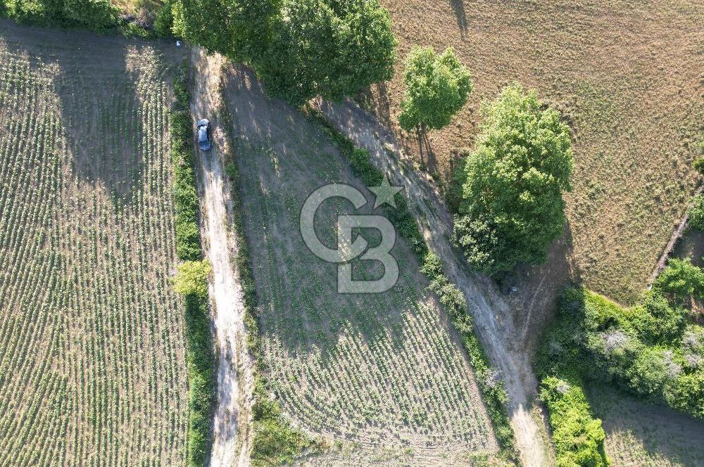 Gelibolu Cumalı Köyünde Deniz Manzaralı İmar sınırında Satılık Tarla