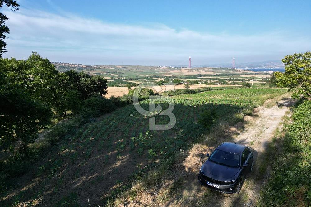 Gelibolu Cumalı Köyünde Deniz Manzaralı İmar sınırında Satılık Tarla