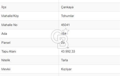 Ankara Çankaya Tohumlar Mahallesinde Satılık Arsa