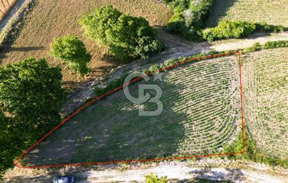 Gelibolu Cumalı Köyünde Deniz Manzaralı İmar sınırında Satılık Tarla