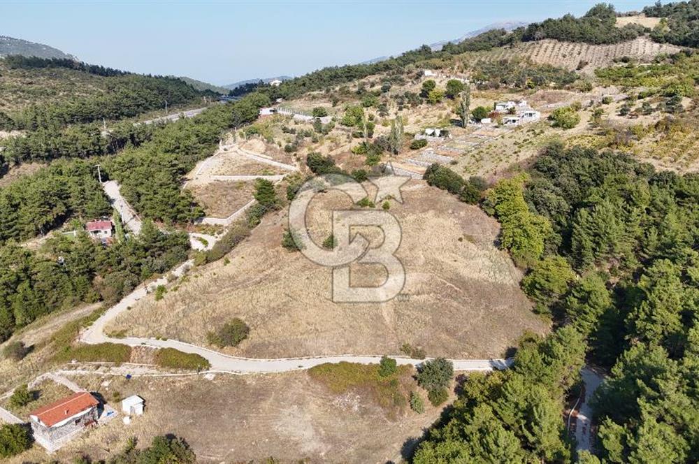 İZMİR BORNOVA BEŞYOL'DA 10.432 m2 MUHTEŞEM MANZARALI TARLA