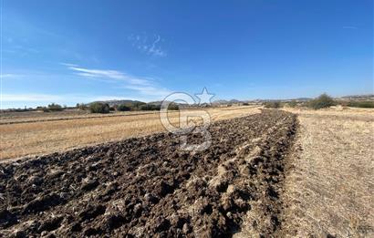 MANİSA KULA KÖREZ MEVKİİ YOL CEPHELİ TARLA