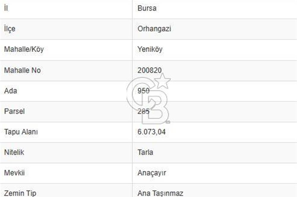 BURSA ORHANGAZİ YENİKÖY SATILIK KİVİ BAHÇESİ.!!!