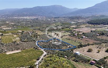 Kemalpaşa Yukarı Kızılcada Satılık Çift Tarafı Yol Zeytinlik