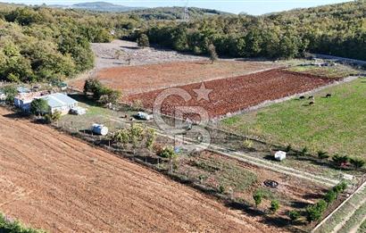 BURSA;NİLÜFER,UNÇUKURUNDA SATLIK HOBİ BAHÇESİ