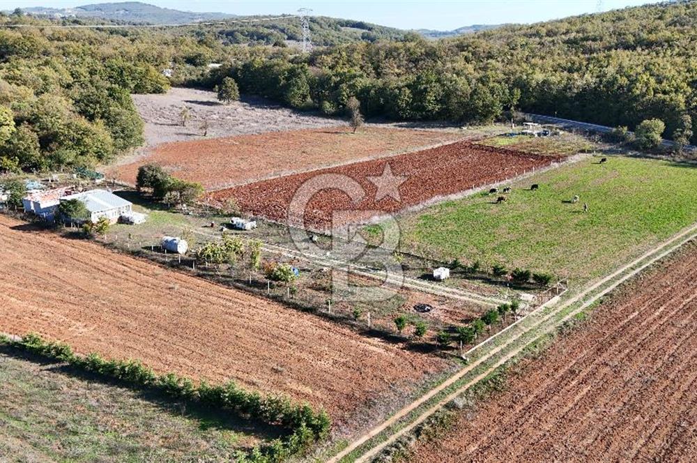 BURSA;NİLÜFER,UNÇUKURUNDA SATLIK HOBİ BAHÇESİ