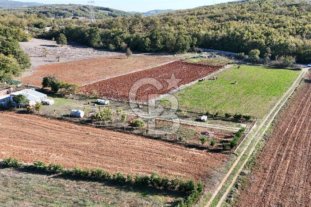 BURSA;NİLÜFER,UNÇUKURUNDA SATLIK HOBİ BAHÇESİ