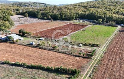 BURSA;NİLÜFER,UNÇUKURUNDA SATLIK HOBİ BAHÇESİ