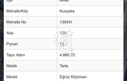 BODRUM GÜRECEDE SATILIK TARLA 