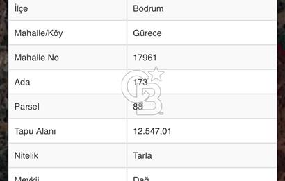 BODRUM GÜRECEDE SATILIK TARLA 