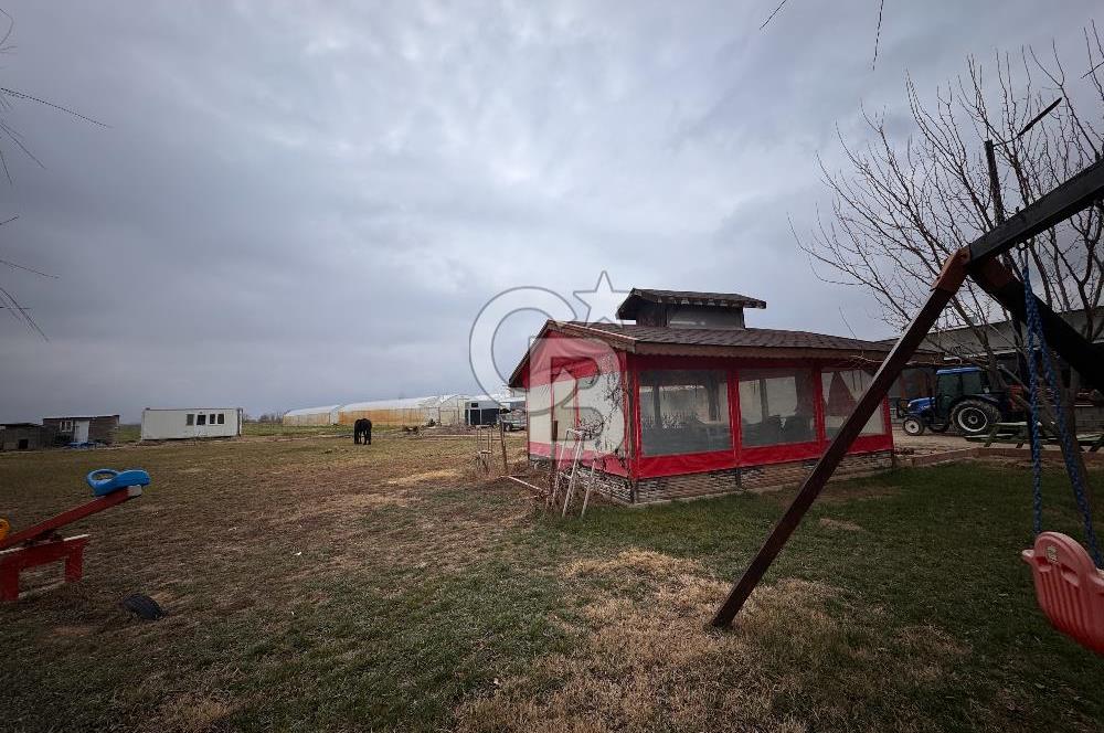 lIgın Çavuşcugöl'de 31.224 m2 Satılık At Çiftliği ve Etkinlik Tesisi 