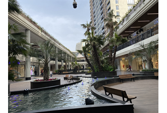 IMG-5288_A6VJWUOULF.jpg - 9