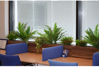 DANIsMAN-OFiS-1_U7YK0IRS85.JPG - 5