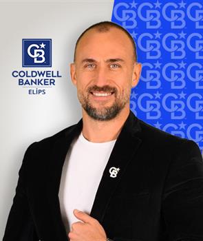 Güney Berani