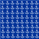 MEHMET BİLGEHAN CEYHAN