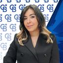 Ferzi Saka