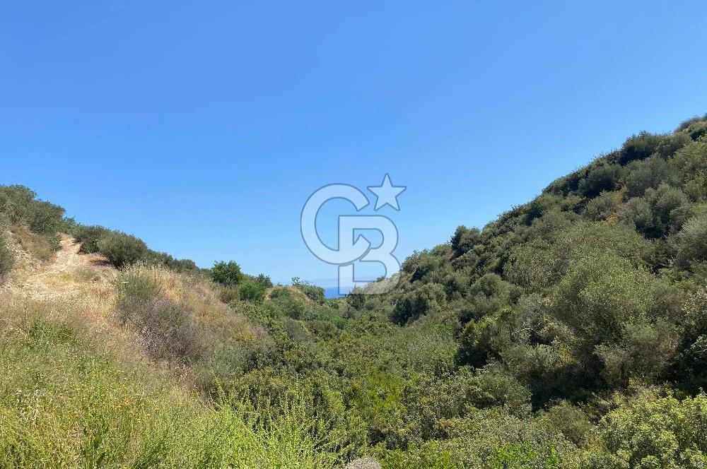 KIBRIS GİRNE BELLAPAİS TE KESİLMEZ DENİZ MANZARALI 2 DÖNÜM 3 EVLEK (3.680 M2 ) ARAZİ