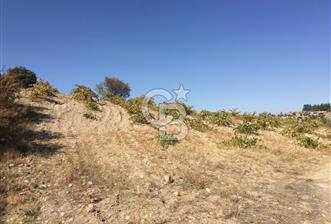 Bekilli Çamköy'de Satılık Arazi - 2 - 79972