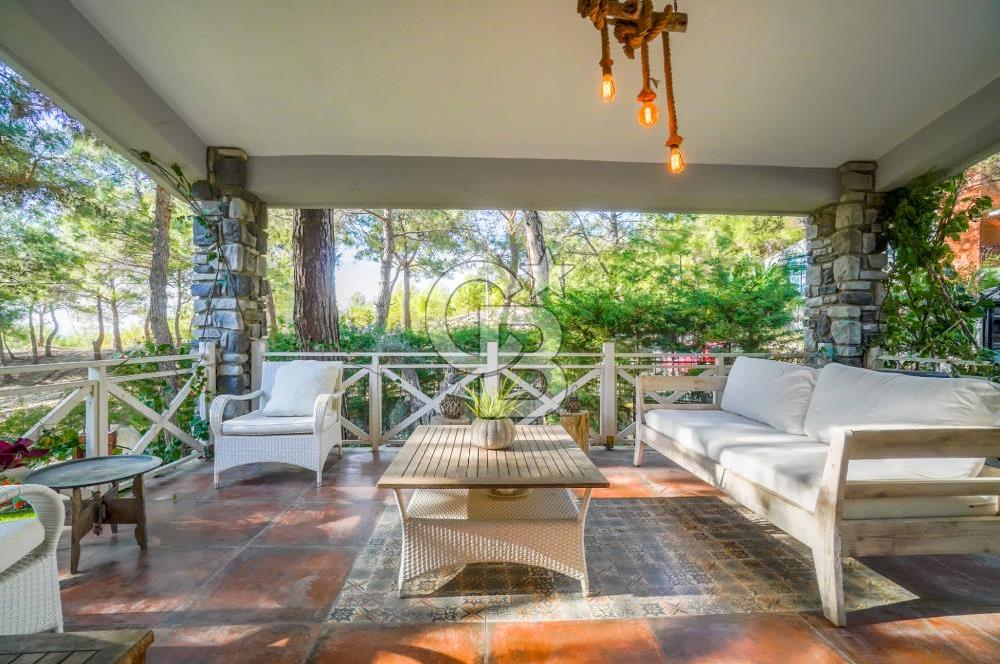 URLA ZEYTİNALANINDA HARİKA BİR YAŞAM ALANI Favorilerime Ekle Yazdır