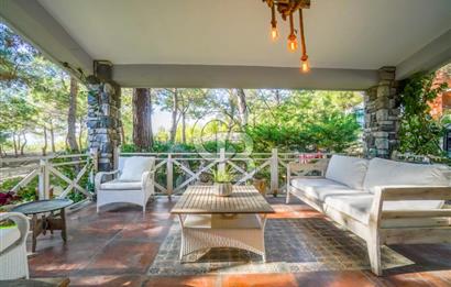 URLA ZEYTİNALANINDA HARİKA BİR YAŞAM ALANI Favorilerime Ekle Yazdır