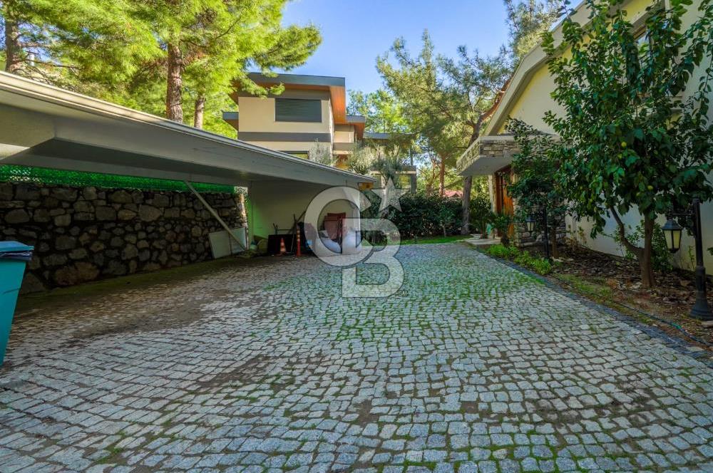 URLA ZEYTİNALANINDA HARİKA BİR YAŞAM ALANI Favorilerime Ekle Yazdır