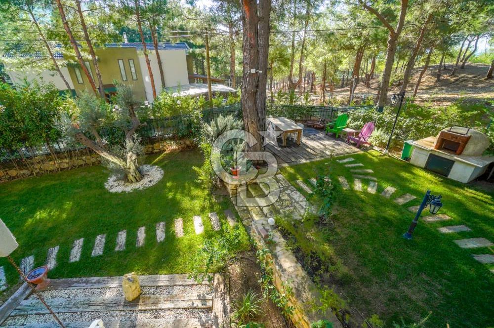 URLA ZEYTİNALANINDA HARİKA BİR YAŞAM ALANI Favorilerime Ekle Yazdır