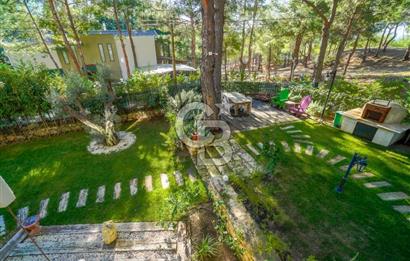 URLA ZEYTİNALANINDA HARİKA BİR YAŞAM ALANI Favorilerime Ekle Yazdır