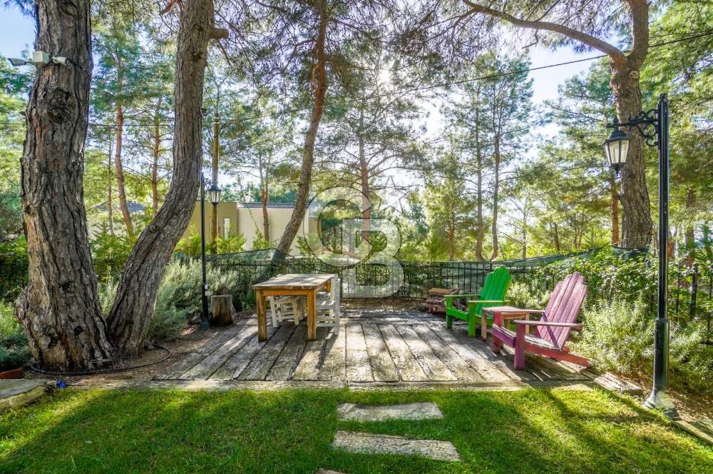 URLA ZEYTİNALANINDA HARİKA BİR YAŞAM ALANI Favorilerime Ekle Yazdır