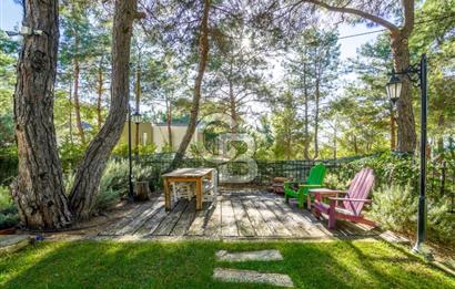 URLA ZEYTİNALANINDA HARİKA BİR YAŞAM ALANI Favorilerime Ekle Yazdır