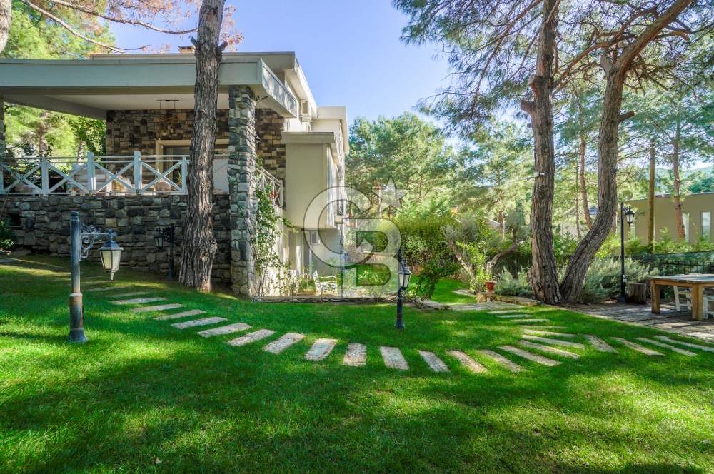 URLA ZEYTİNALANINDA HARİKA BİR YAŞAM ALANI Favorilerime Ekle Yazdır