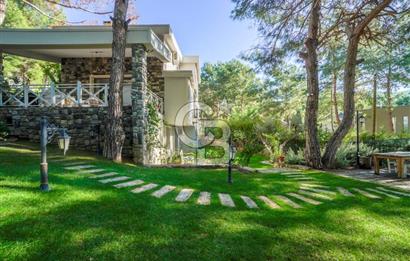 URLA ZEYTİNALANINDA HARİKA BİR YAŞAM ALANI Favorilerime Ekle Yazdır