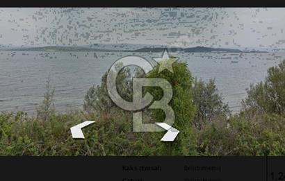 ECEABAT YALOVA DA 10 DÖNÜM ANA YOLA CEPHE DENİZE 25 METRE TARLA