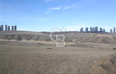 HACILARDA MÜSTAKİL TAPULU 1500.m²’ LİK SATILIK ARSA