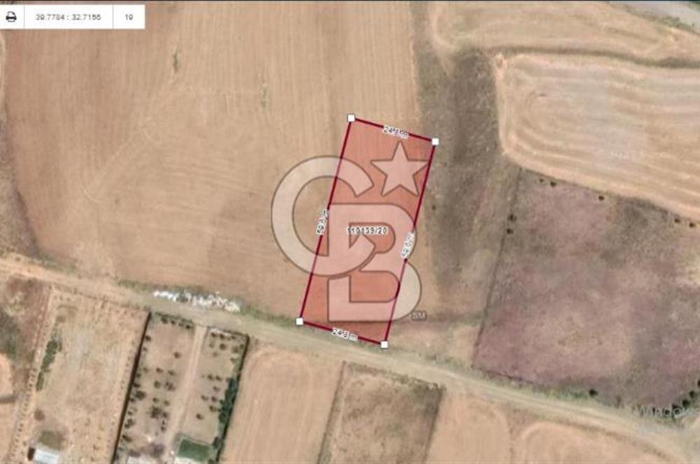 HACILARDA MÜSTAKİL TAPULU 1500.m²’ LİK SATILIK ARSA